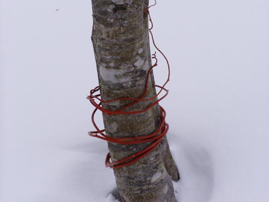 雪上に自然の芸術