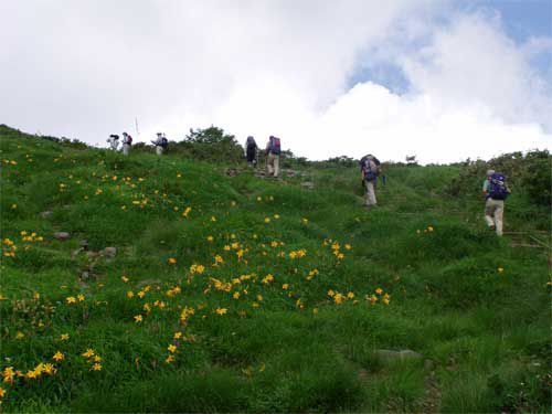 ニッコウキスゲ、チングルマ


ニッコウキスゲ、チングルマ、ヨツバシオガマ
ニッコウキスゲ、チングルマ、ヨツバシオガマを塗って