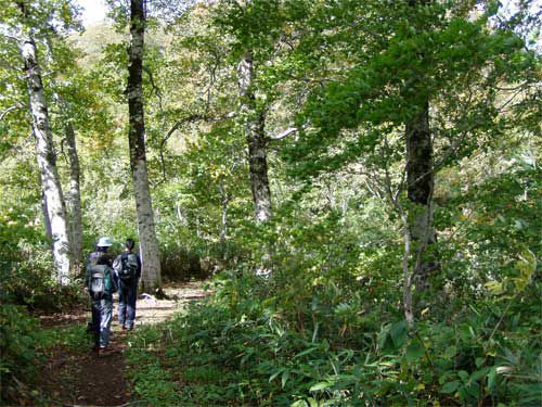 岩根沢コース 2