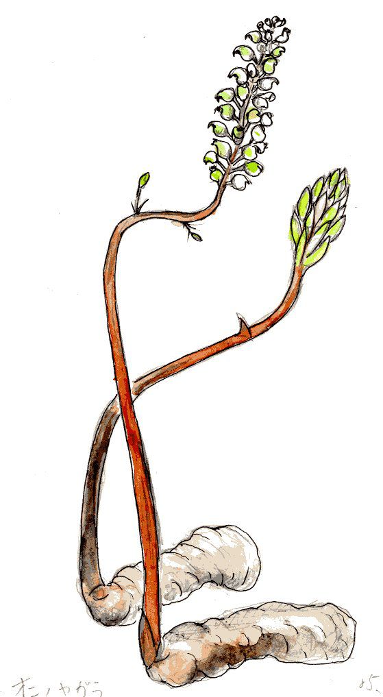 05.私のスケッチ 3