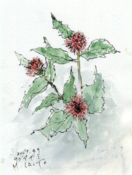 S.S氏の作品 2