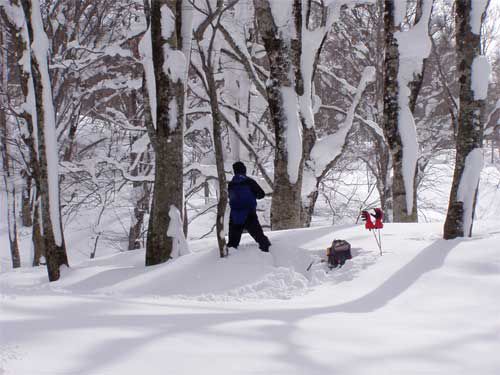 プロカメラマン