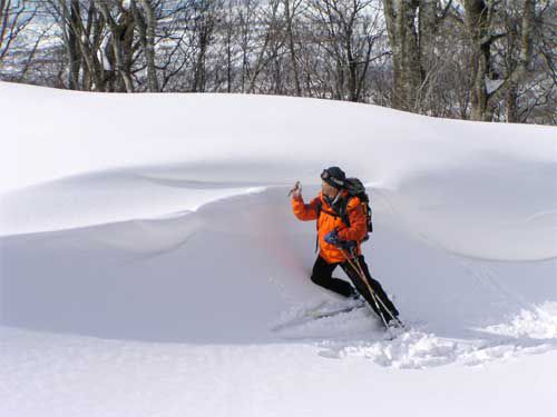 尾根沿いの風景