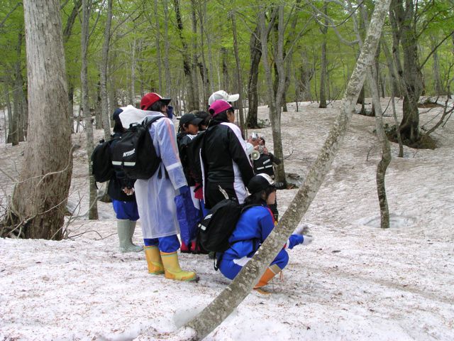 オオルリに釘付け