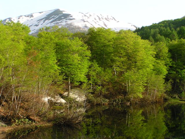 西川地蔵沼早朝