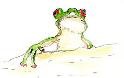 モリアオガエル 2