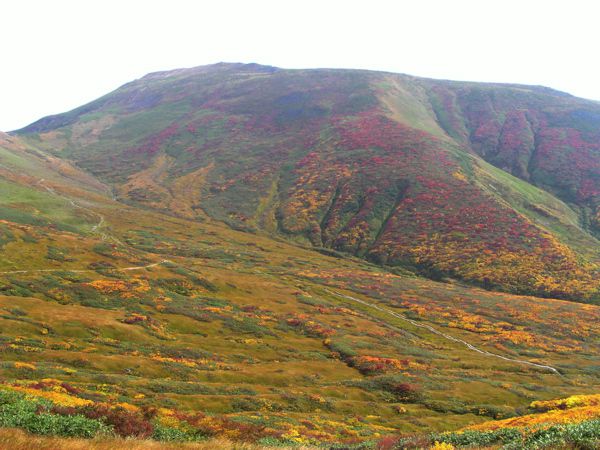 雪田コース鳥瞰