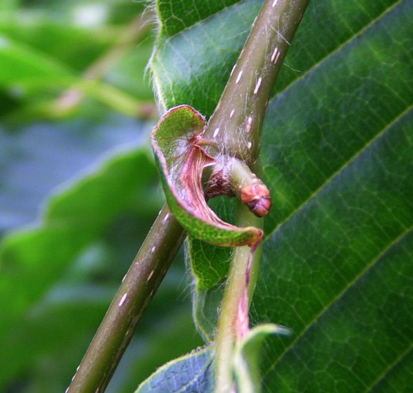 抱かれるように