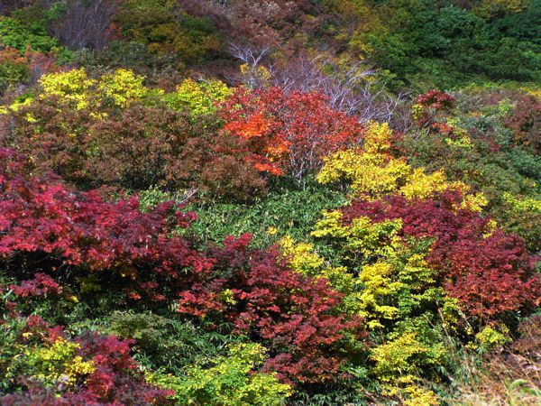 間もなく装束場 1