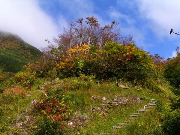 コメツガ遠望点