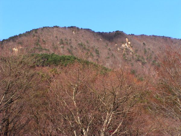 半田山