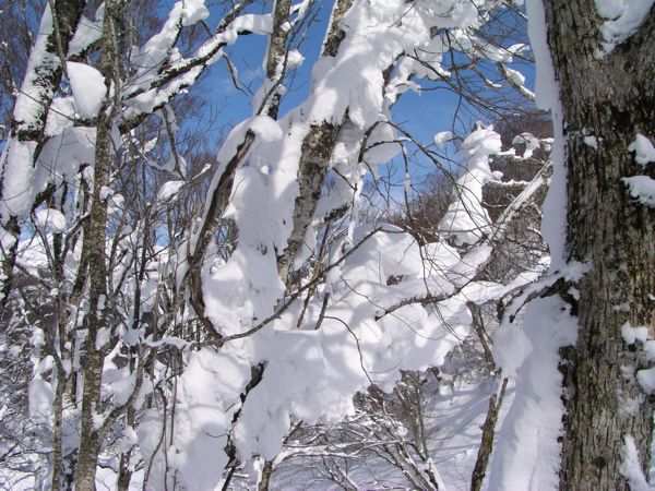 華やかに舞舞台