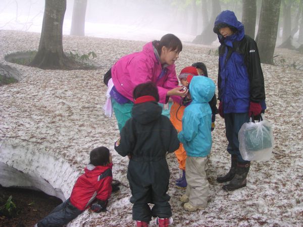 神奈川の幼児達