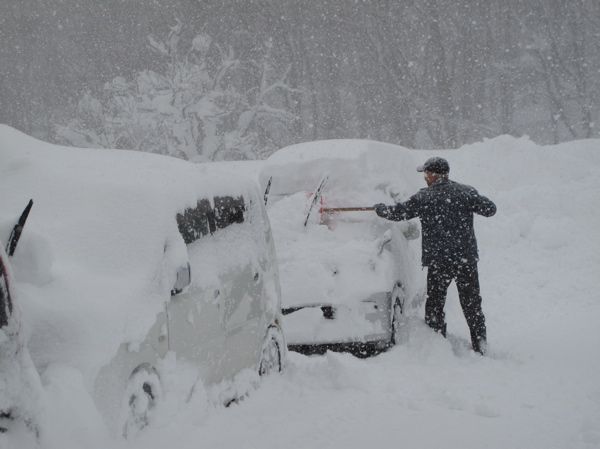 車雪に埋もれて