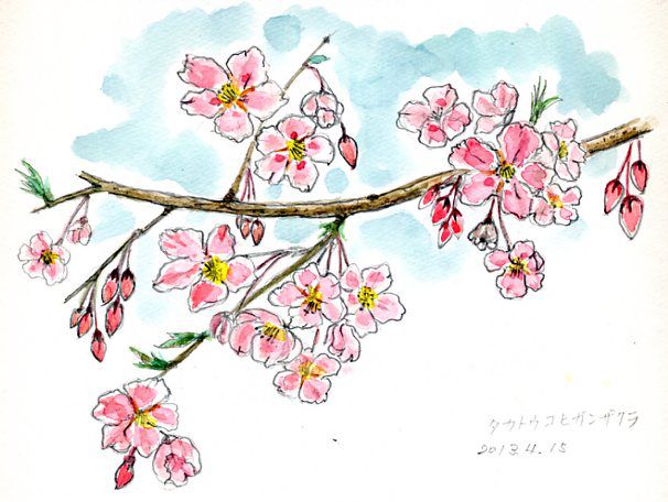 公園のさくらと人