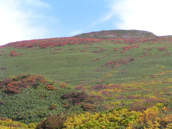 姥ヶ岳西斜面 2