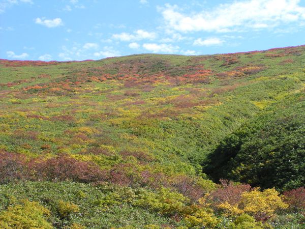 姥ヶ岳西斜面 3