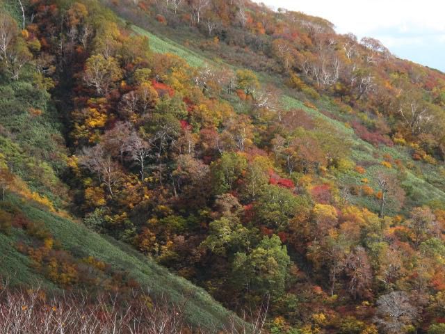 東沢コース秋色全開 1