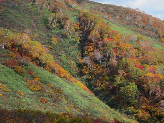 四ッ谷東沢コース 2