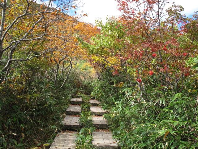 東沢コース秋色全開 1