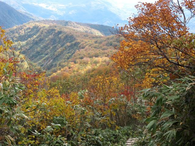 東沢コース秋色全開 2