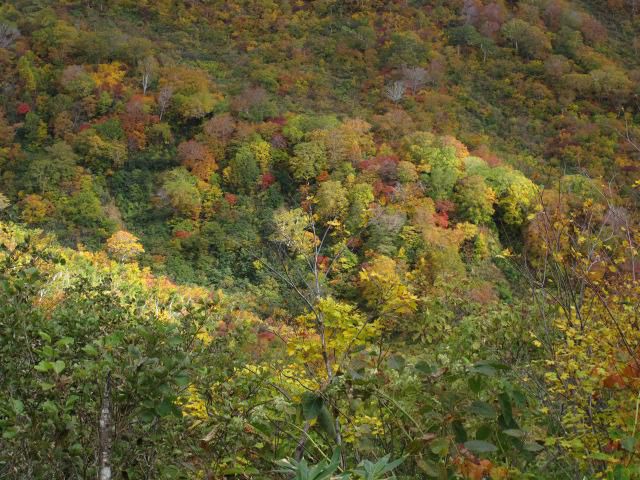 東沢コース秋色全開 4