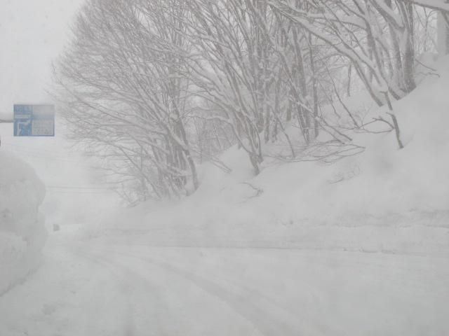 吹雪の弓張平 2/17