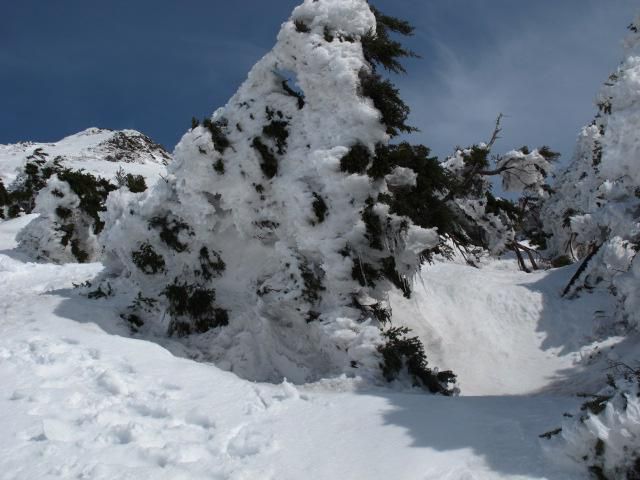 高度を下げて 1