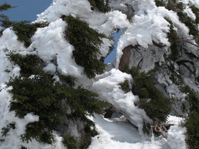 高度を下げて 4