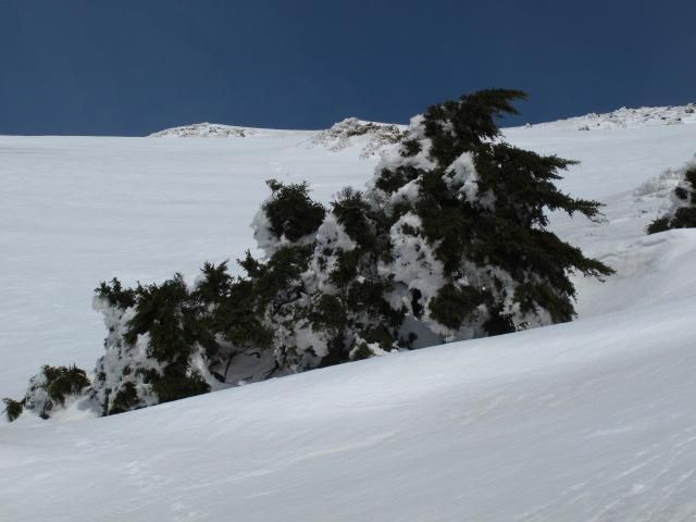 北西の斜面から 1