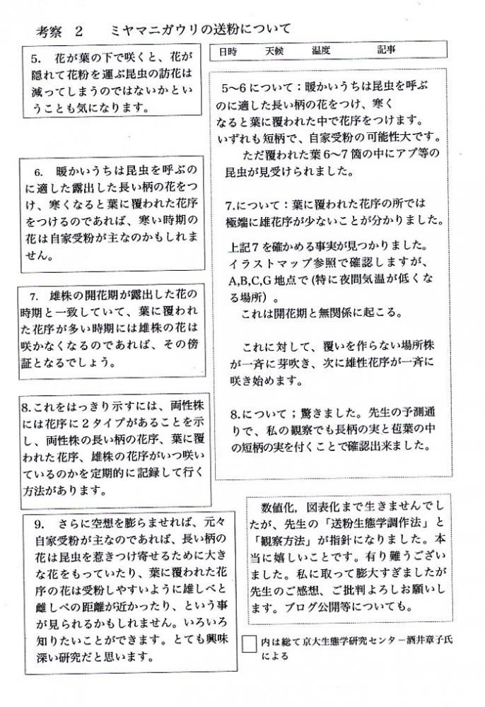 ミヤマニガウリ 考察 2