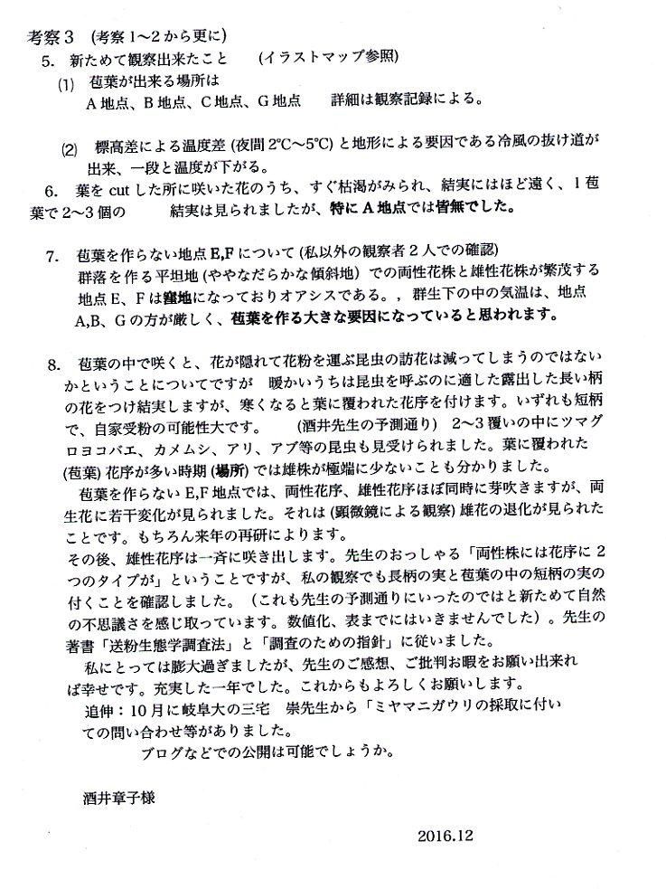 ミヤマニガウリ 考察 3