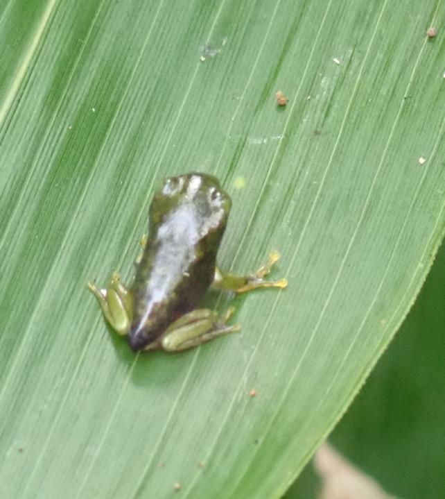 もりあおの子どもたち 2