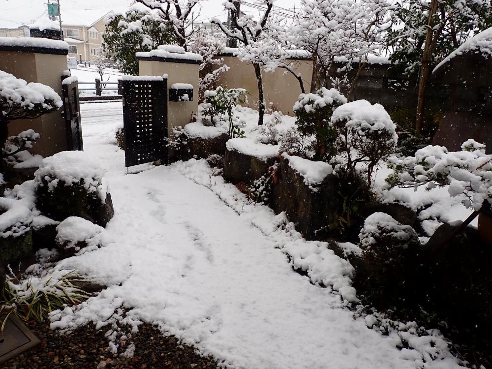 わが家に雪が 1