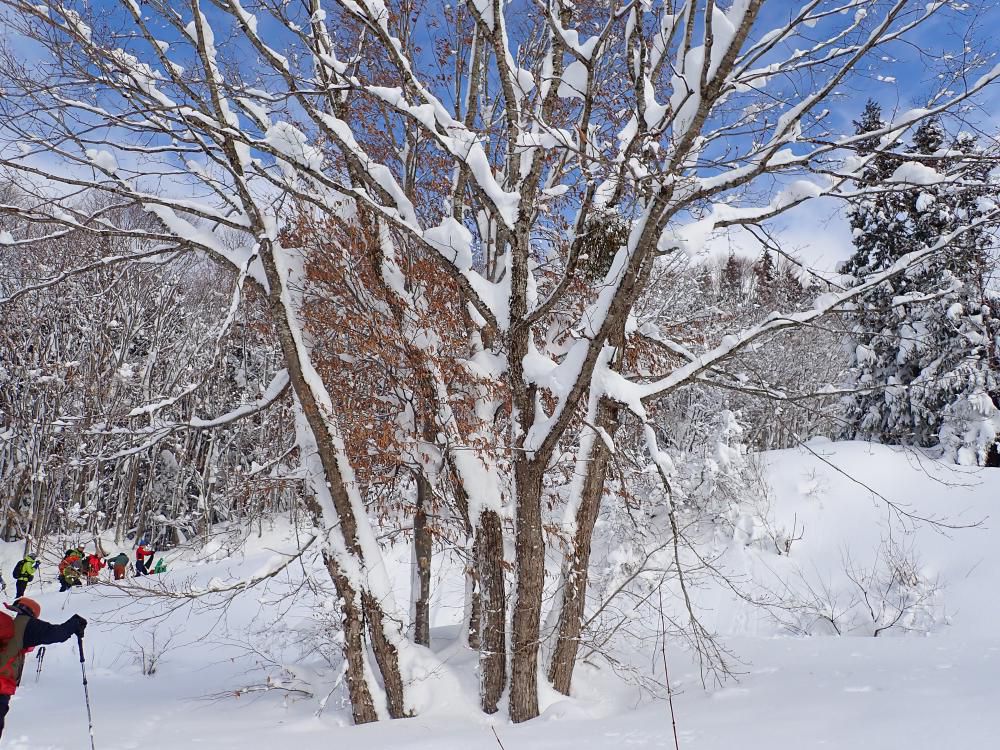 キズリかかる光景 1