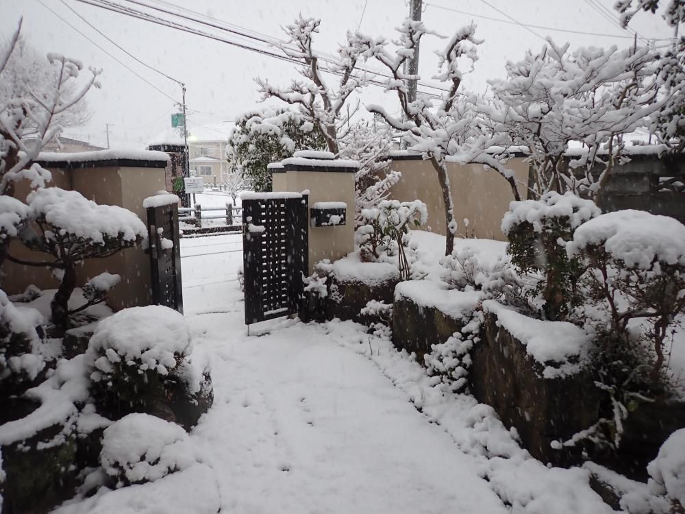 23.1.2 庭に雪 1