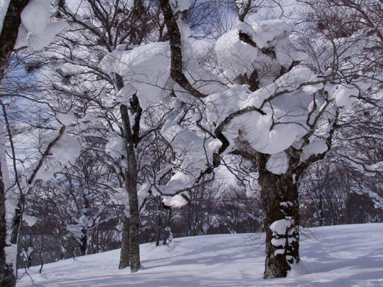 ある晴れた日に (3)