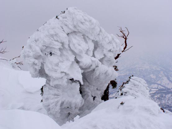月山に樹氷? (4)