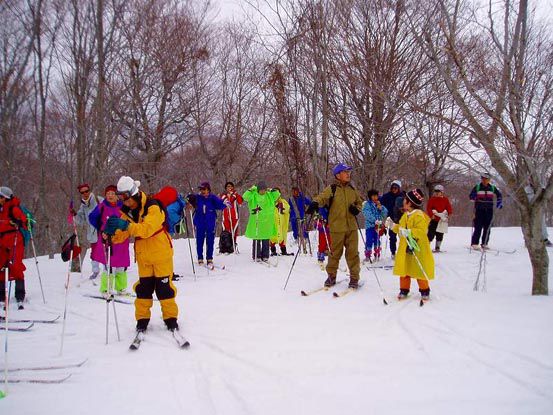 ラング ブナ林を縫って (2)
