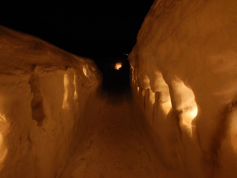 つばき雪あかりの路