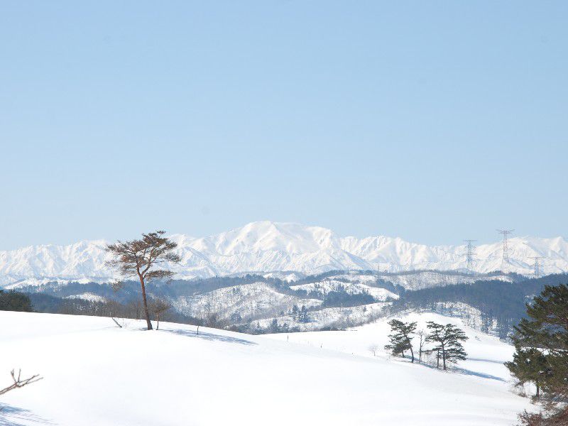 春めいた陽気な今日♪