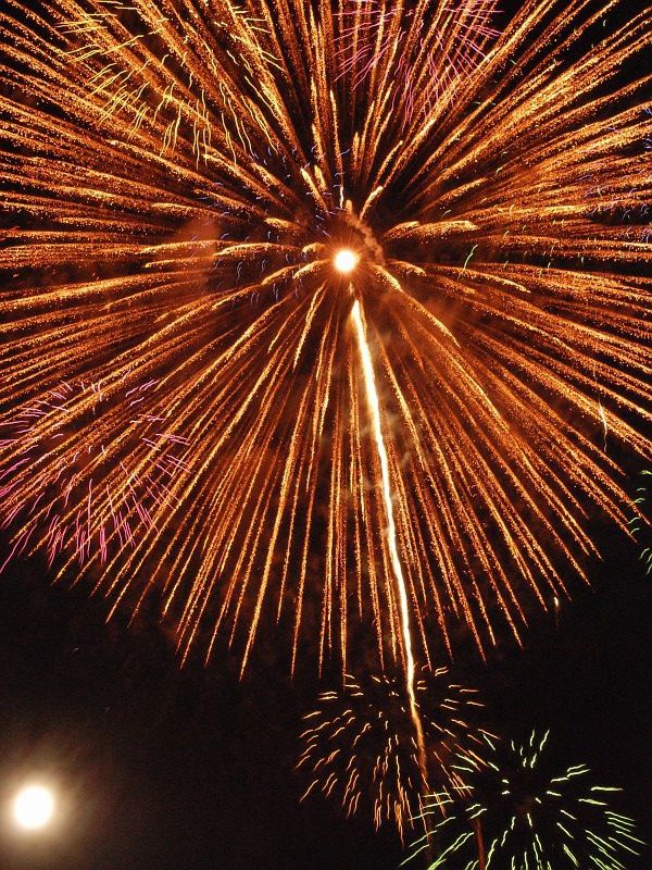 ゚・*:.。. .空に打ち上がる大輪の花。.:*・゜゚・【7/24】