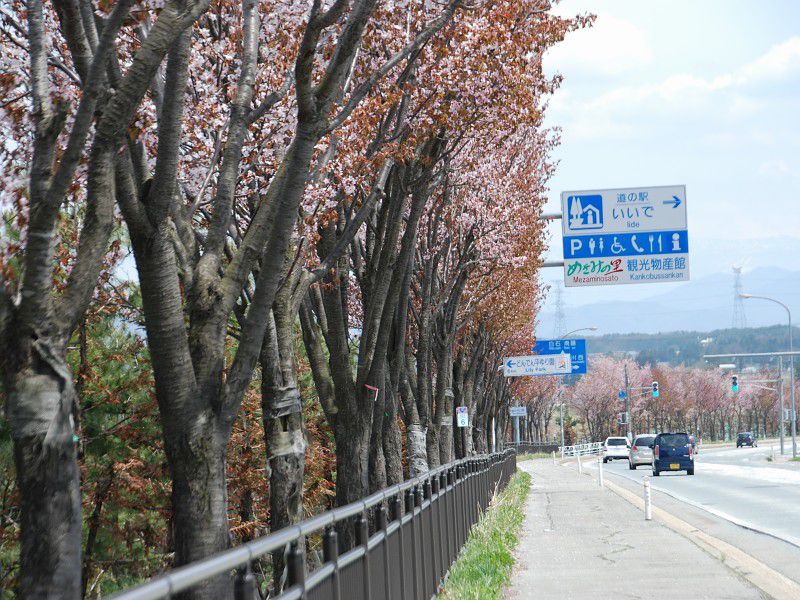 5/5 めざみ祭 ~かねたん、けーじろーと記念写真撮影~