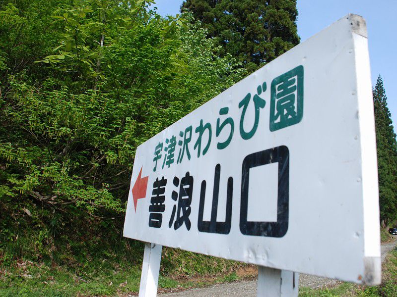 6/2 わらび園開園!