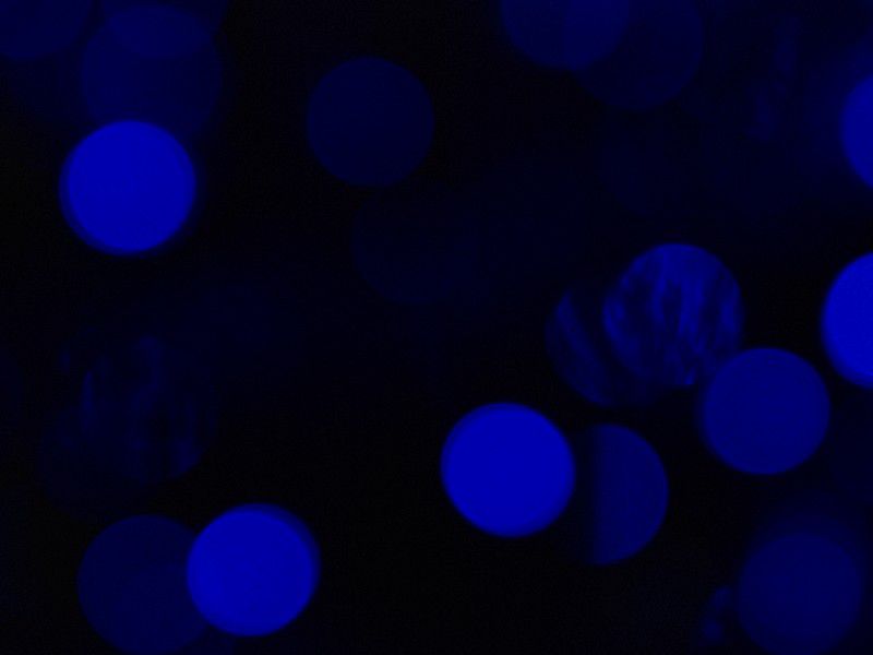 クリスマス装飾!