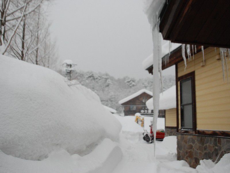 大雪でもへっちゃら!