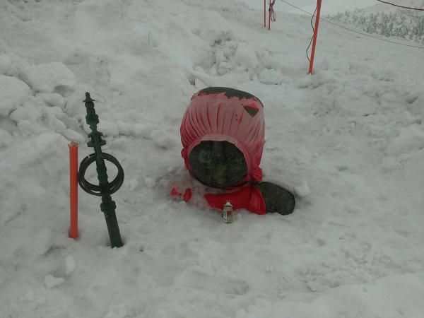 今シーズンも間もなく終わりです、が、