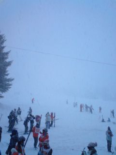 降って来ました!