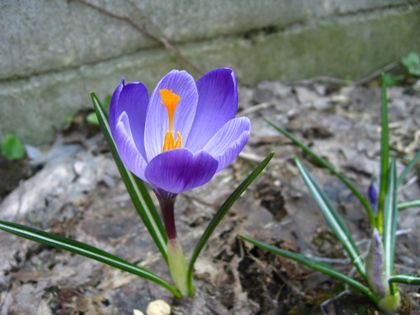 4月からは高畠で!