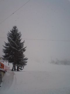 1月29日の蔵王上の台